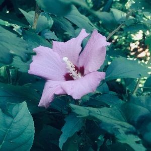 Meet your Posher, Abbie